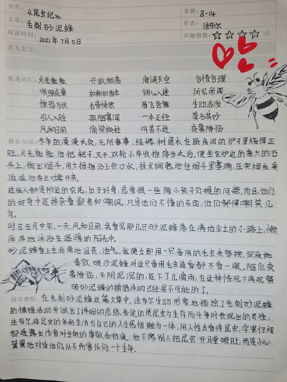 读书笔记 《昆虫记》 读书笔记,第二张毛刺砂泥蜂 好词好句摘抄