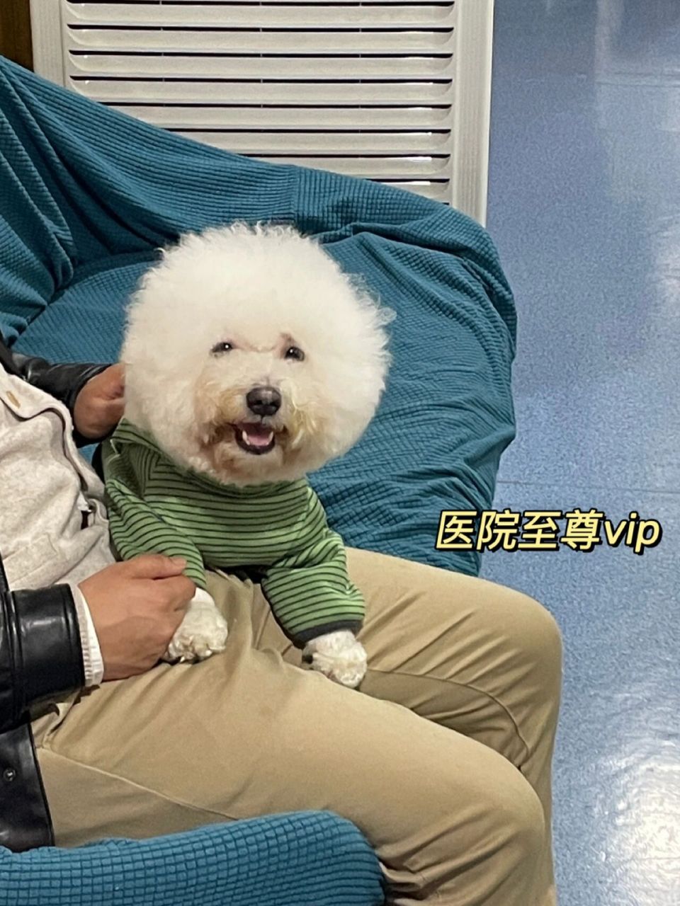 在我家宝宝确诊前真的没未听过焦虫病,得知后懊恼又自责,我知道是我