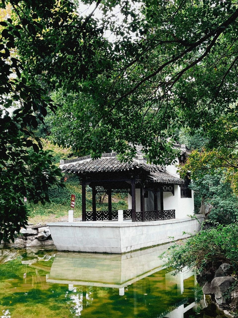 江都最美的公园——仙女公园7415 我想这里有着很多江都人的回忆