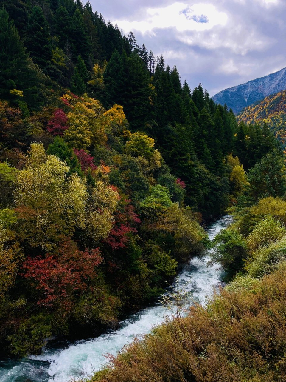 米亚罗风景区 米亚罗是我国最大的红叶景区之一,是九寨沟-黄龙寺旅游