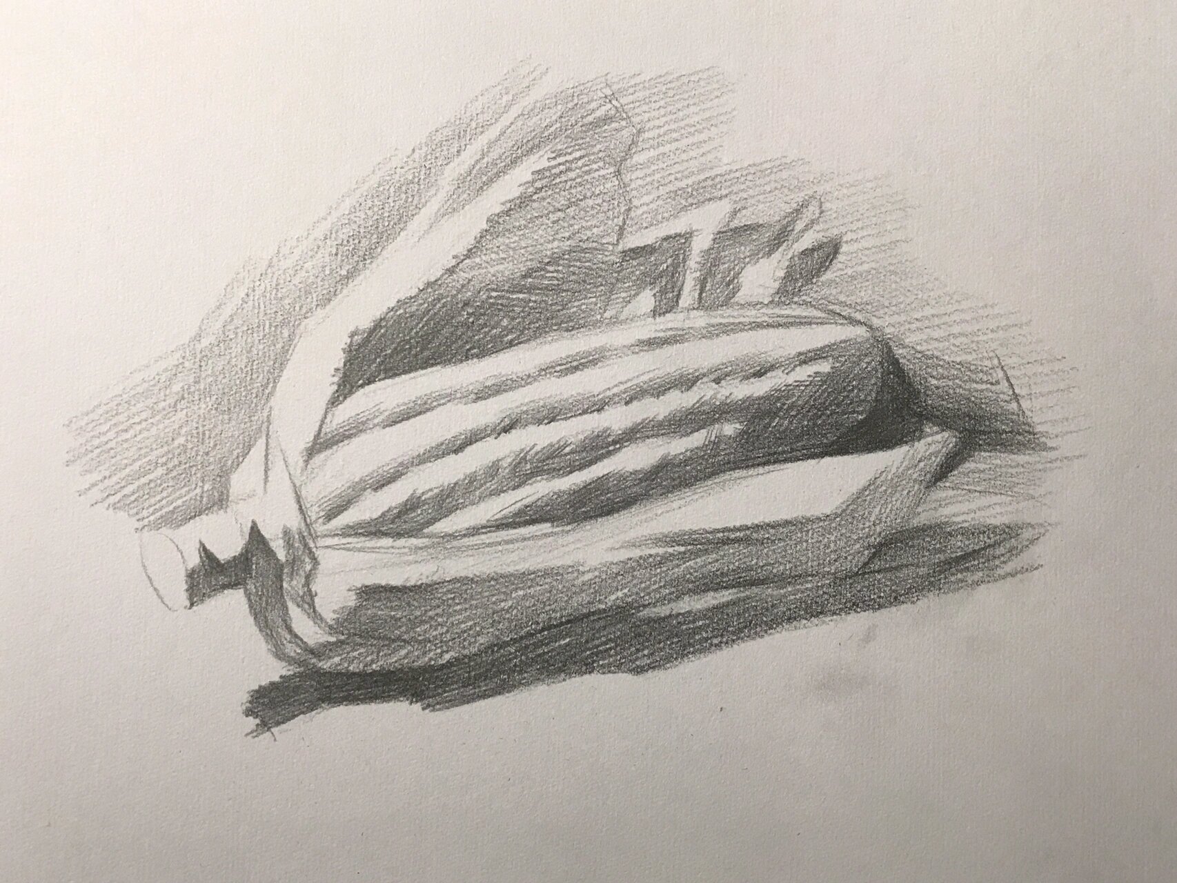 基础素描～玉米99步骤图.