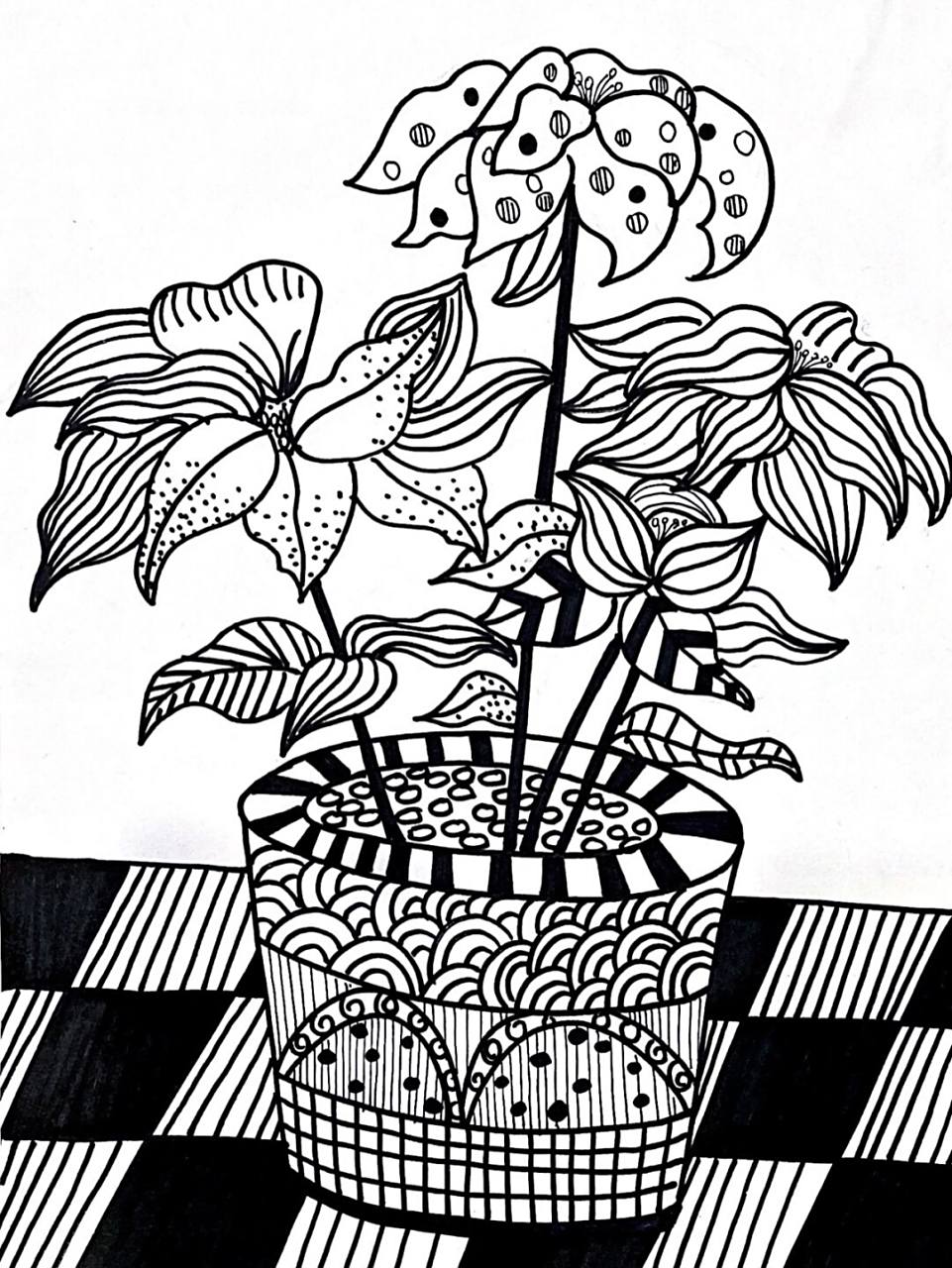 黑白装饰画线描花卉 考级速写五级 材料:8开素描纸,勾线笔 #线描