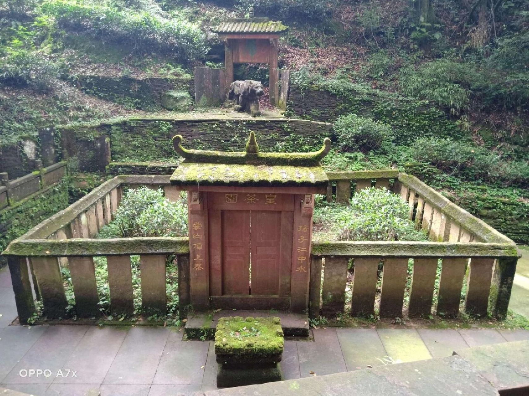 蒙顶山 蒙顶山又名蒙山,位于四川省雅安市境内,因"雨雾蒙沫"而得名,是