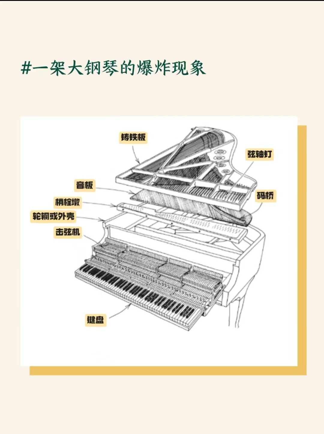 钢琴内部结构"大揭密