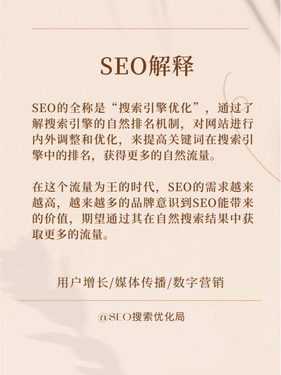 seo做排名=seo排名啥意思
