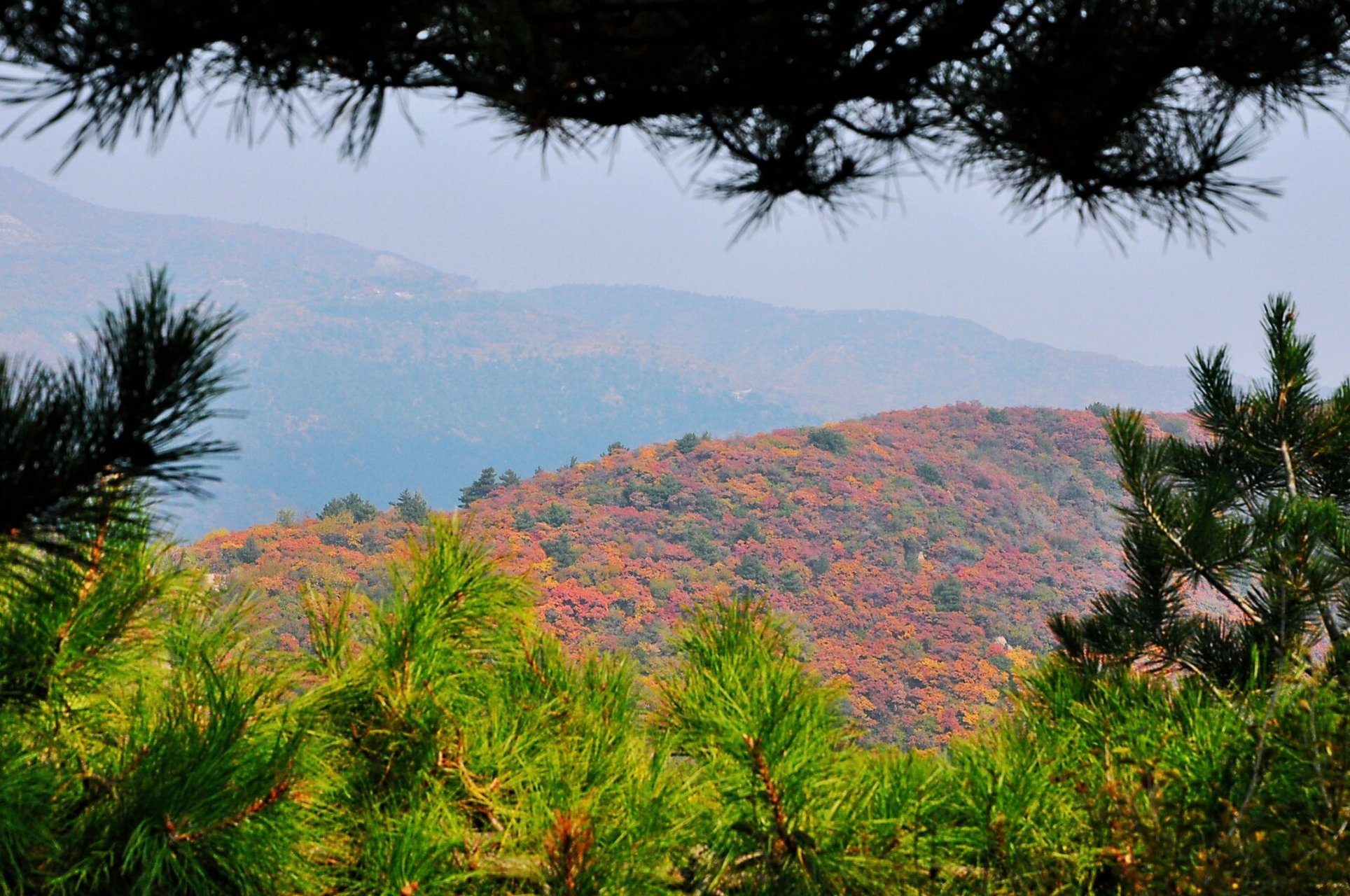 龙山,位于太原市西南二十余公里处,为吕梁山支脉,前连悬瓮山,西接