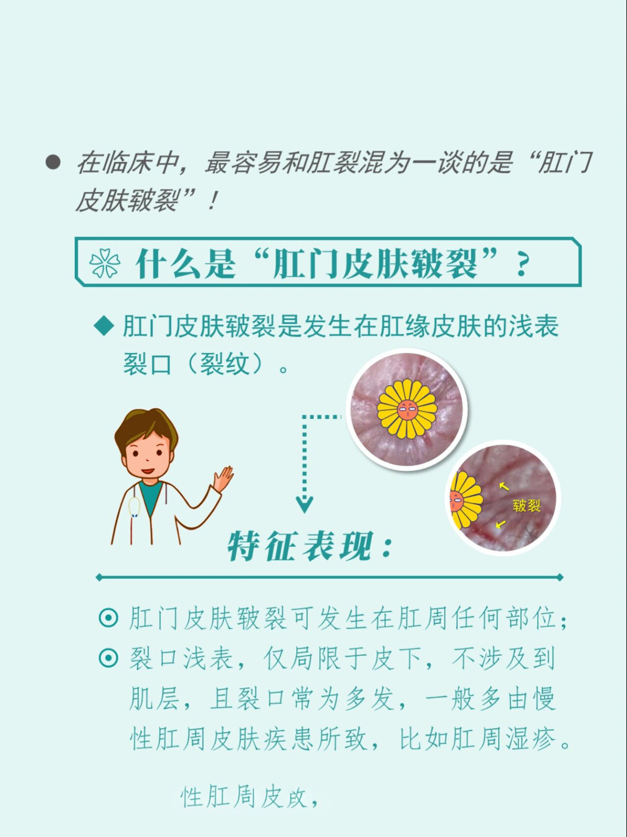 肛裂系列谈 第⑤期 肛裂与"皲裂"莫混淆 首先带大家来回顾一下:第2~4