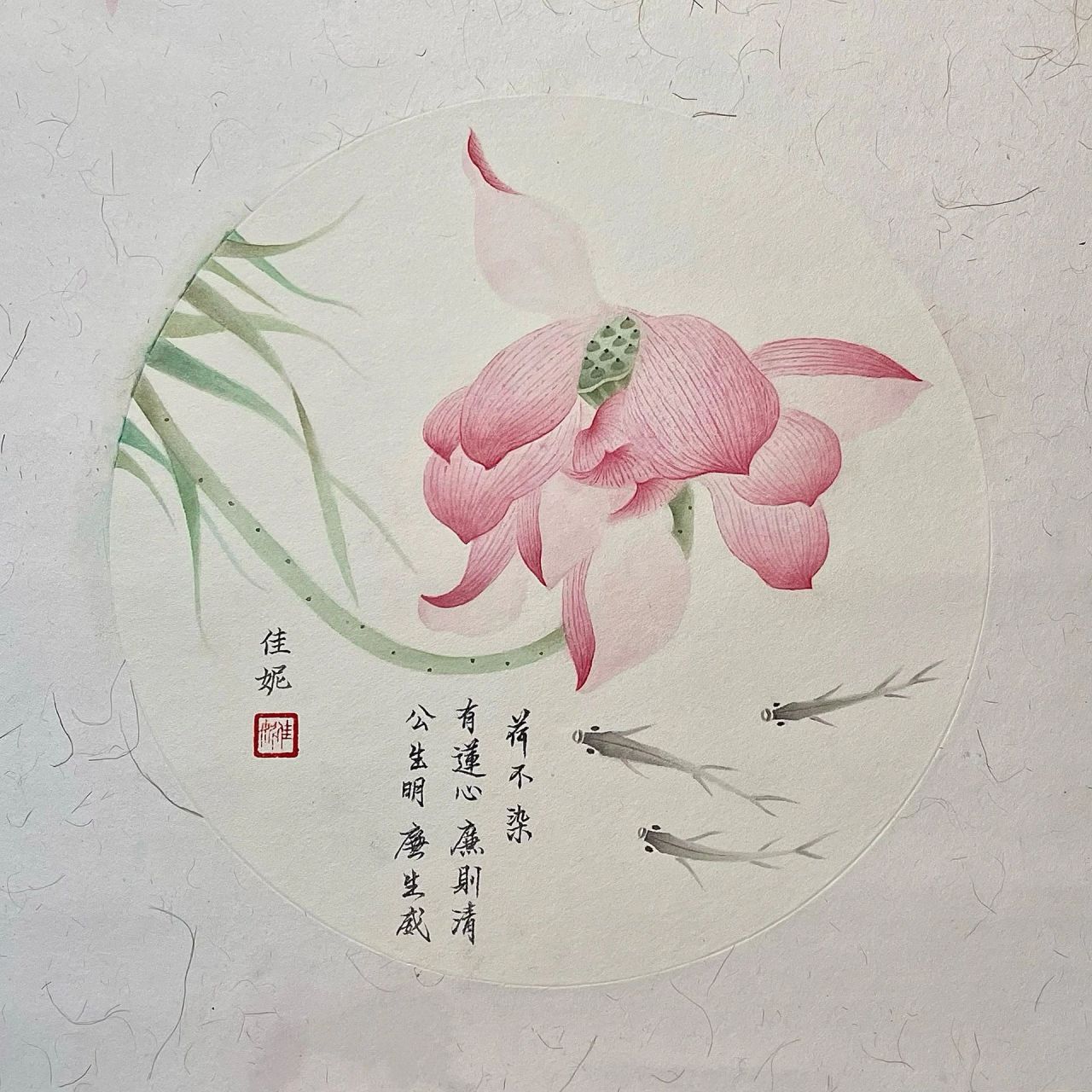 廉洁的绘画作品 荷花03 看取莲花净,应知不染心.03 荷花又叫莲花.
