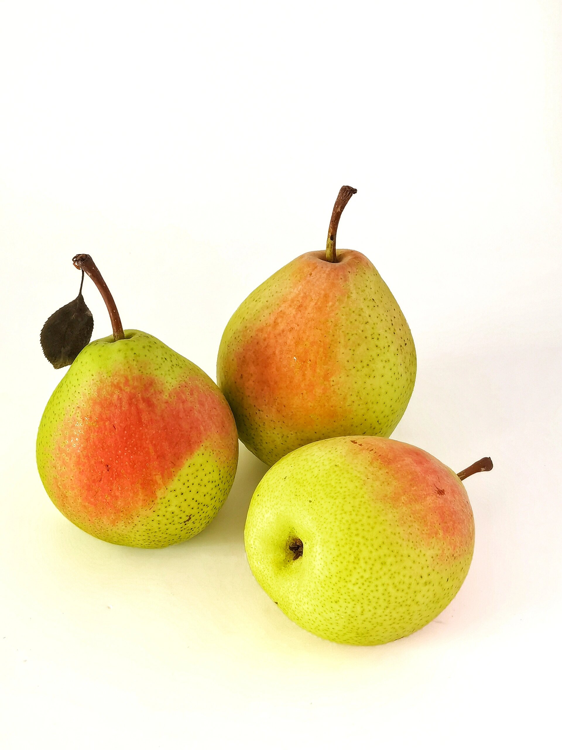 绘画素材286:七月红梨子