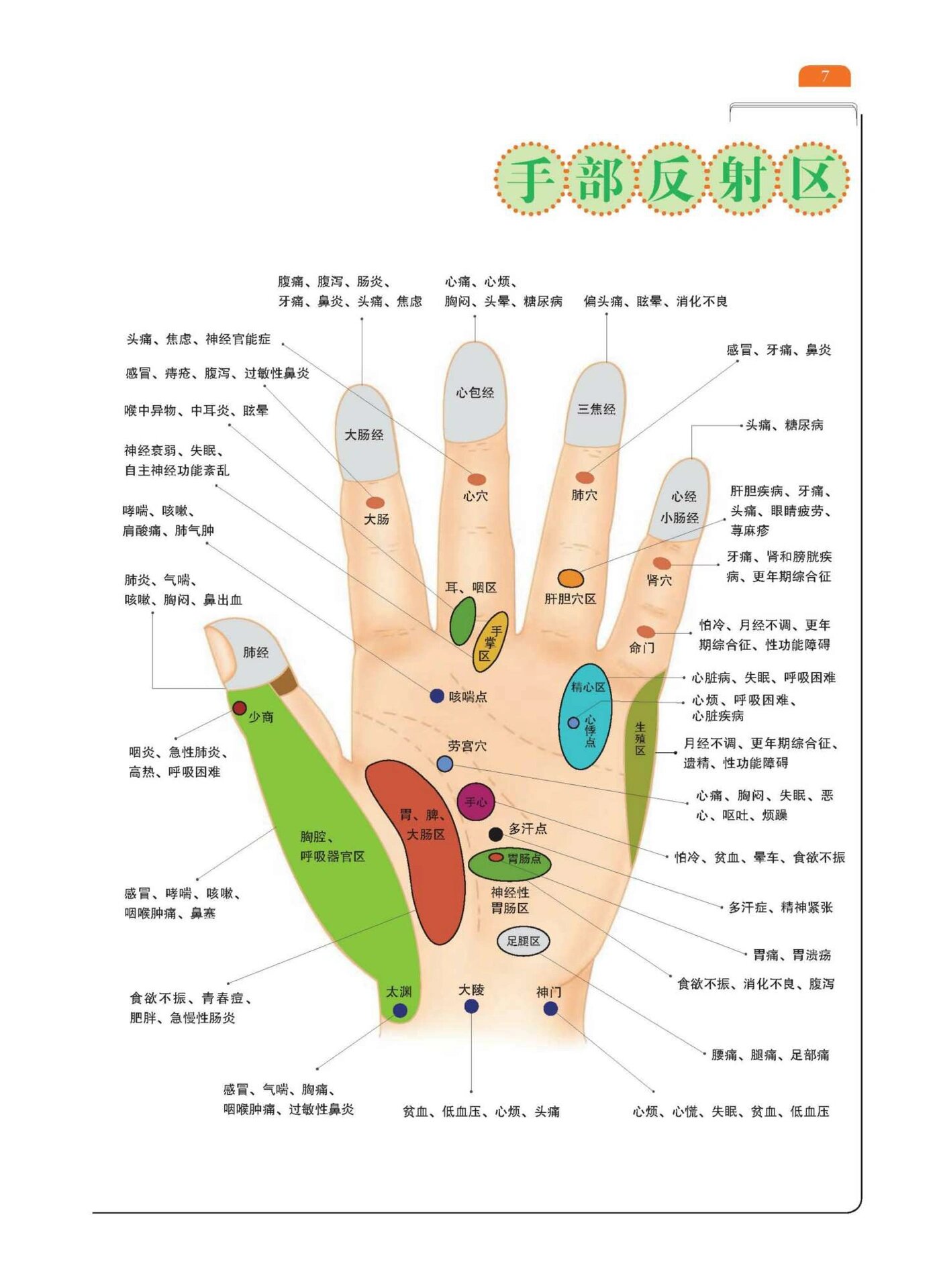 掌部脏腑反射区——下
