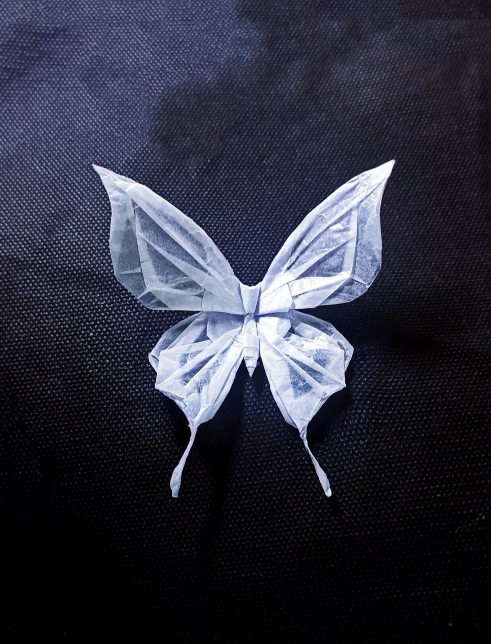 折纸蝴蝶骨(烘焙纸) 用蜡纸折的原创天蚕蛾(p2,p3为过程) 效果就跟