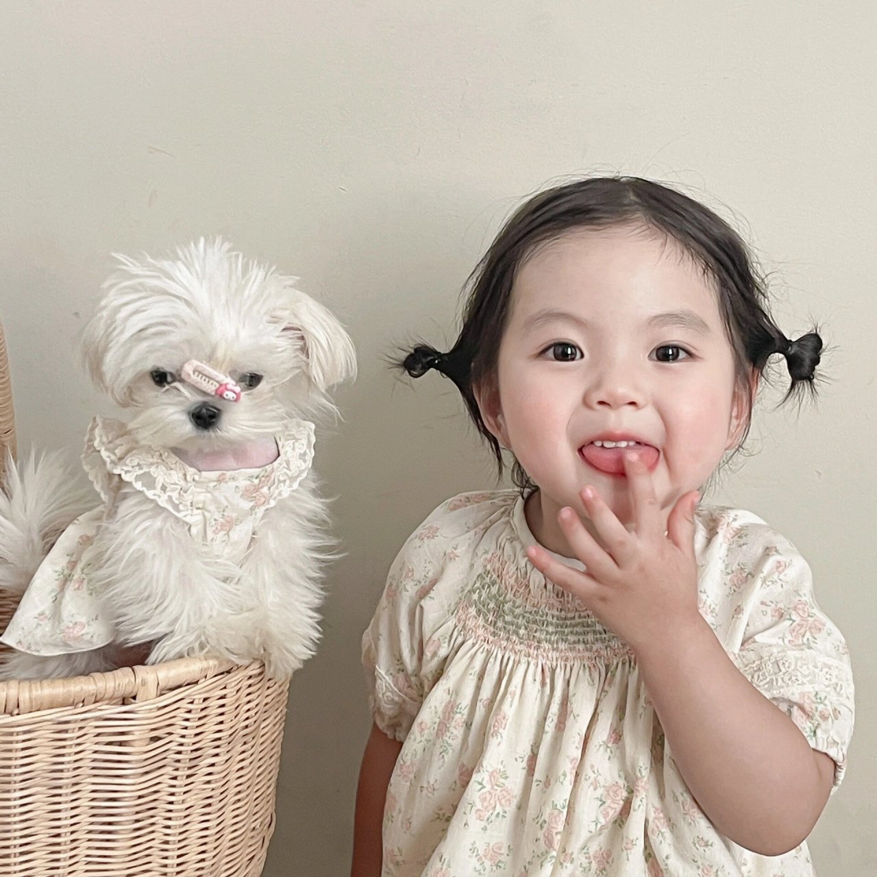 萌娃和萌宠98放在一起,要萌翻了 一组可爱到流口水的头像