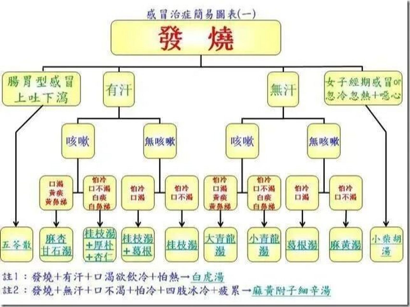 倪海厦《感冒治症简易图表》