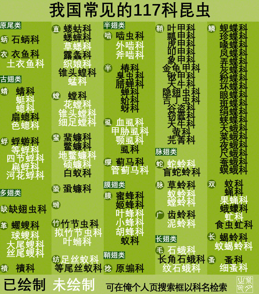 各种各样的昆虫名字图片