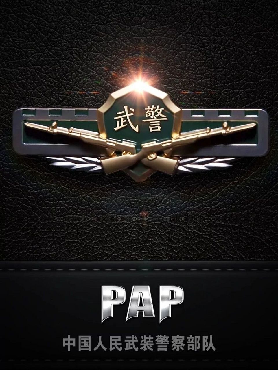 武警壁纸