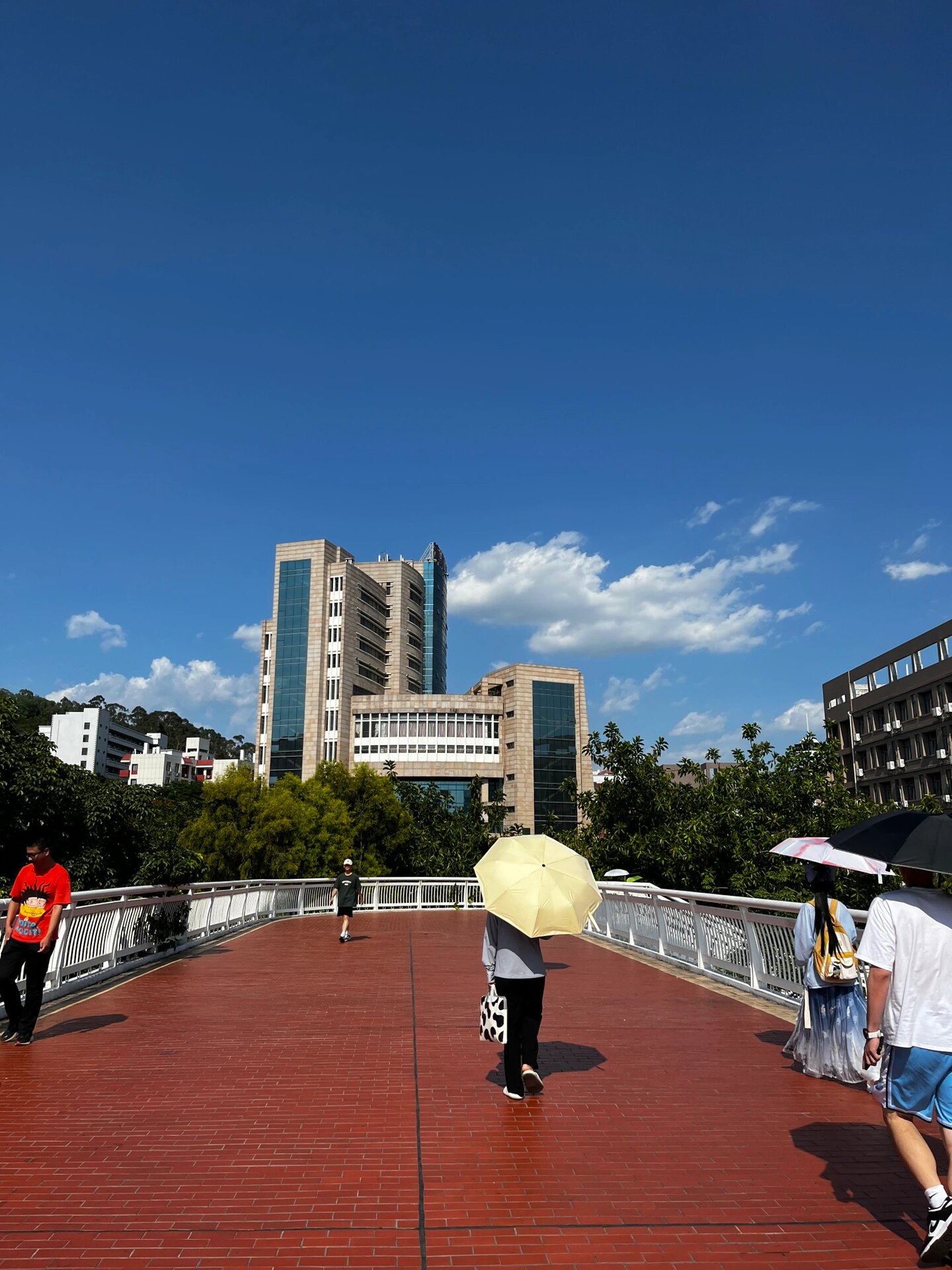 漳州职业技术学院地址图片