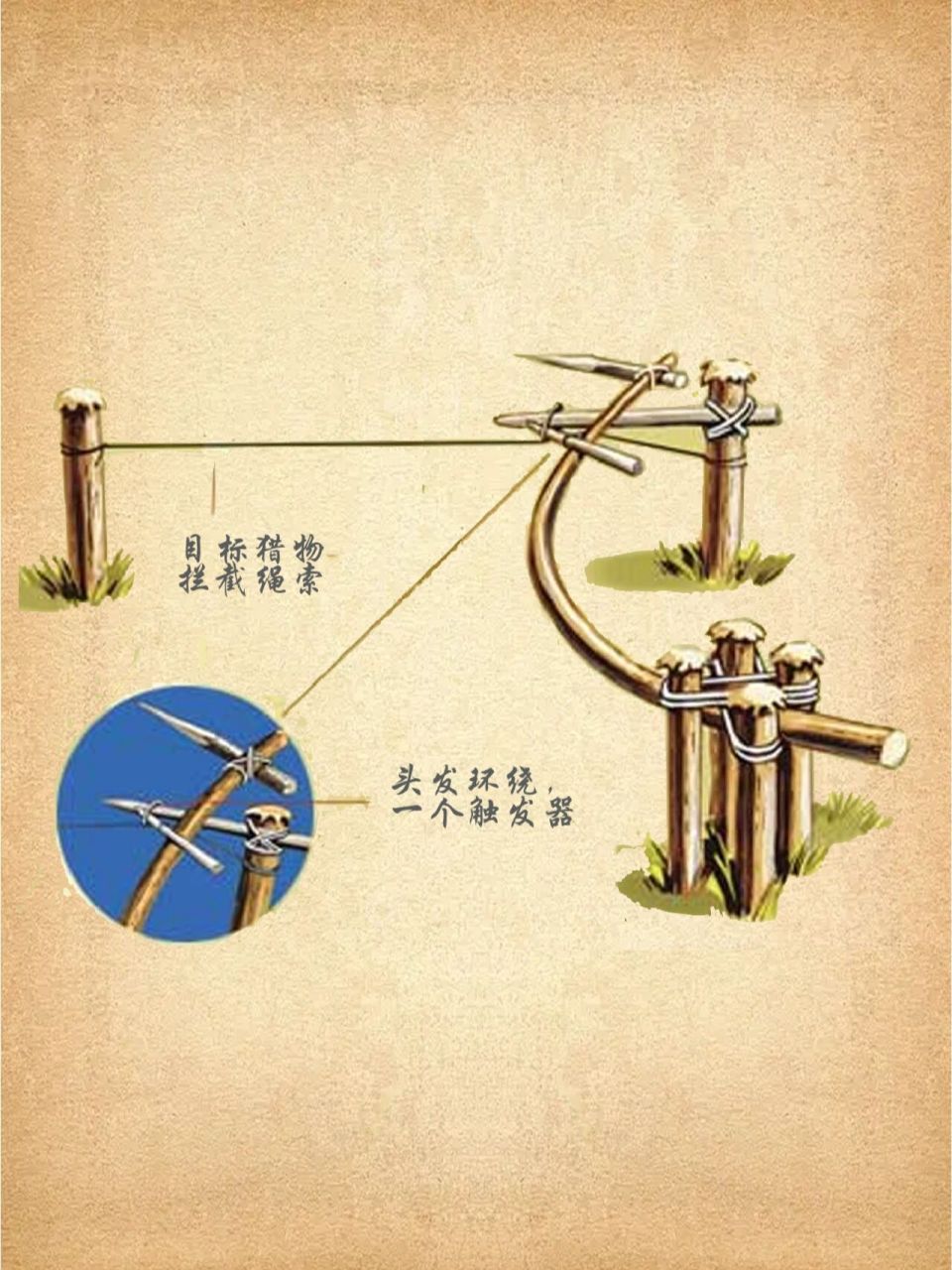 荒野生存中捕捉小动物的简易陷阱 户外生存中,长期缺乏蛋白质是致命的