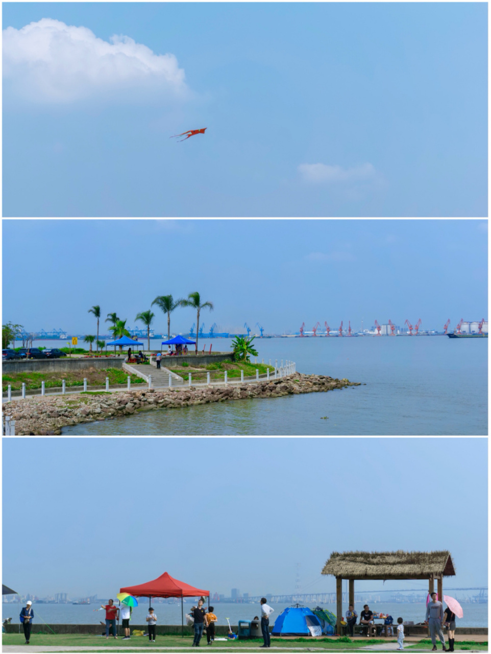 📍地理地址:番禺区合心村 #海鸥岛# 🕰️时间: 全天 🚇交通出