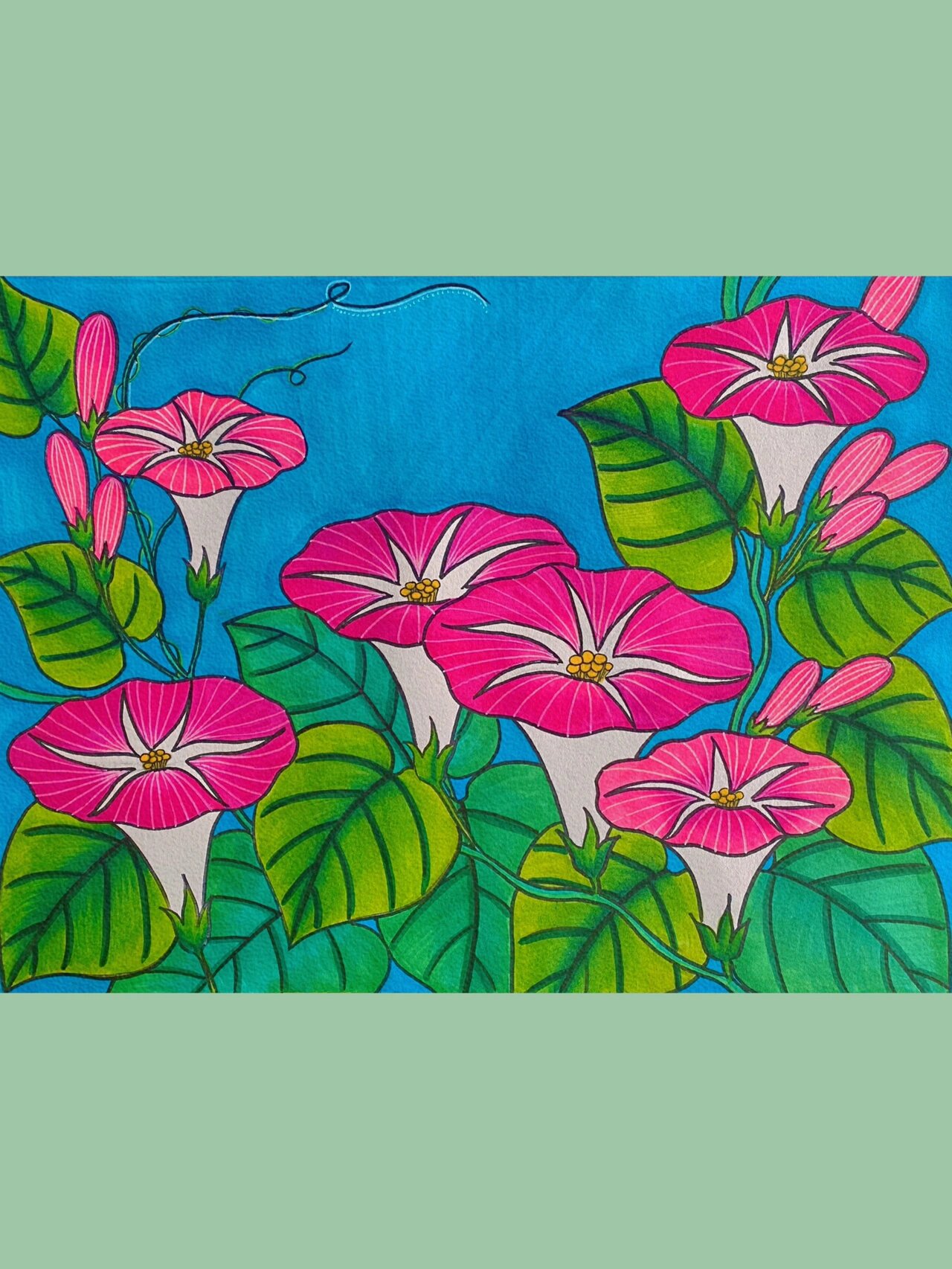 牵牛花 颜色更鲜亮的牵牛花,这一幅更加卡通,色彩更艳丽,可以结合上一