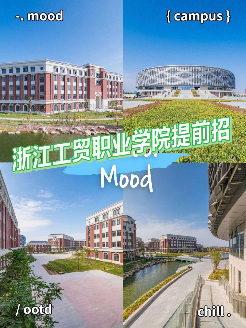 提前招生资讯|浙江工贸职业技术学院 招生计划 招生专业及计划,2023年