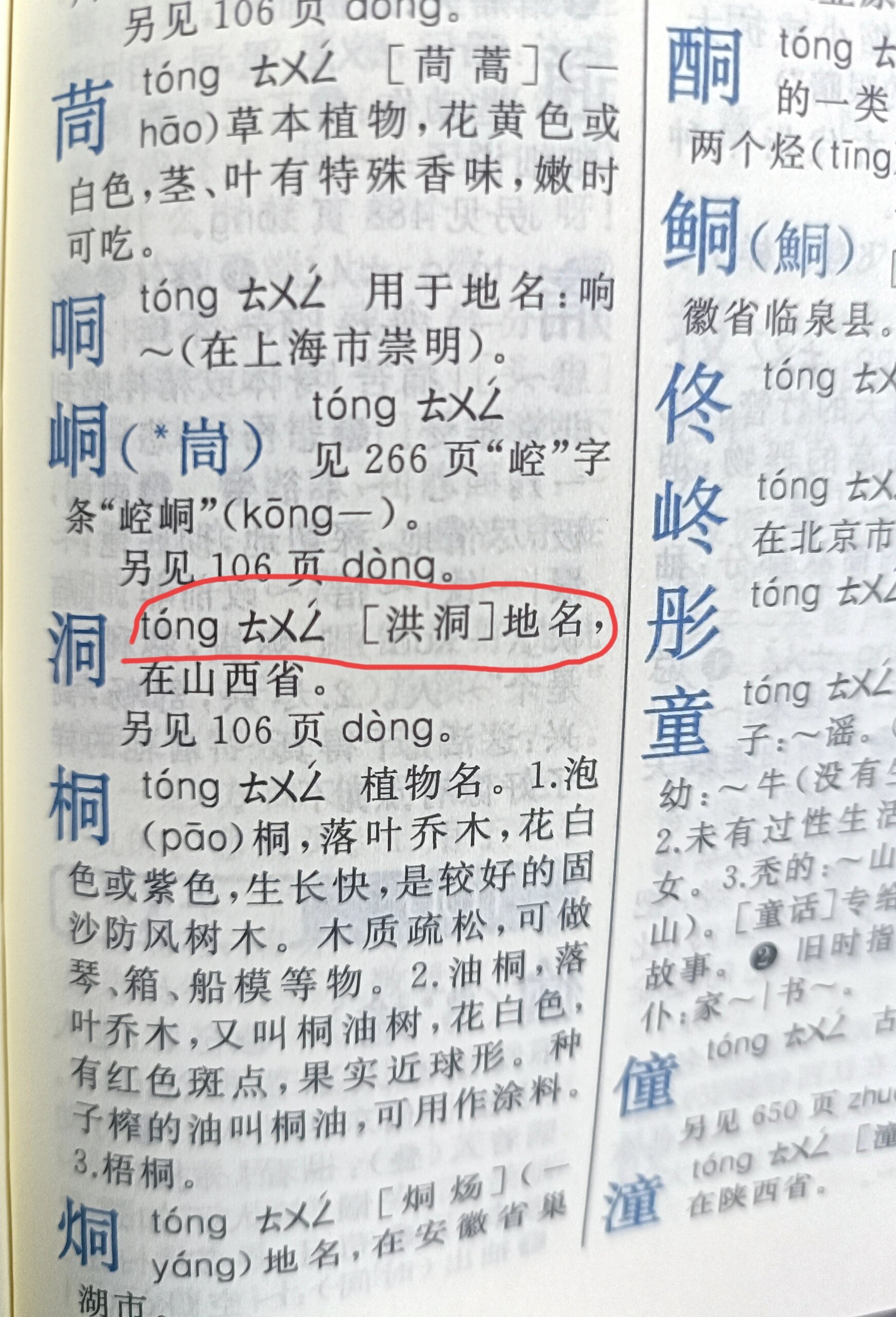 新版新华字典已将"洪洞"地名"洞"的读音增加进去了,以前就一个读音