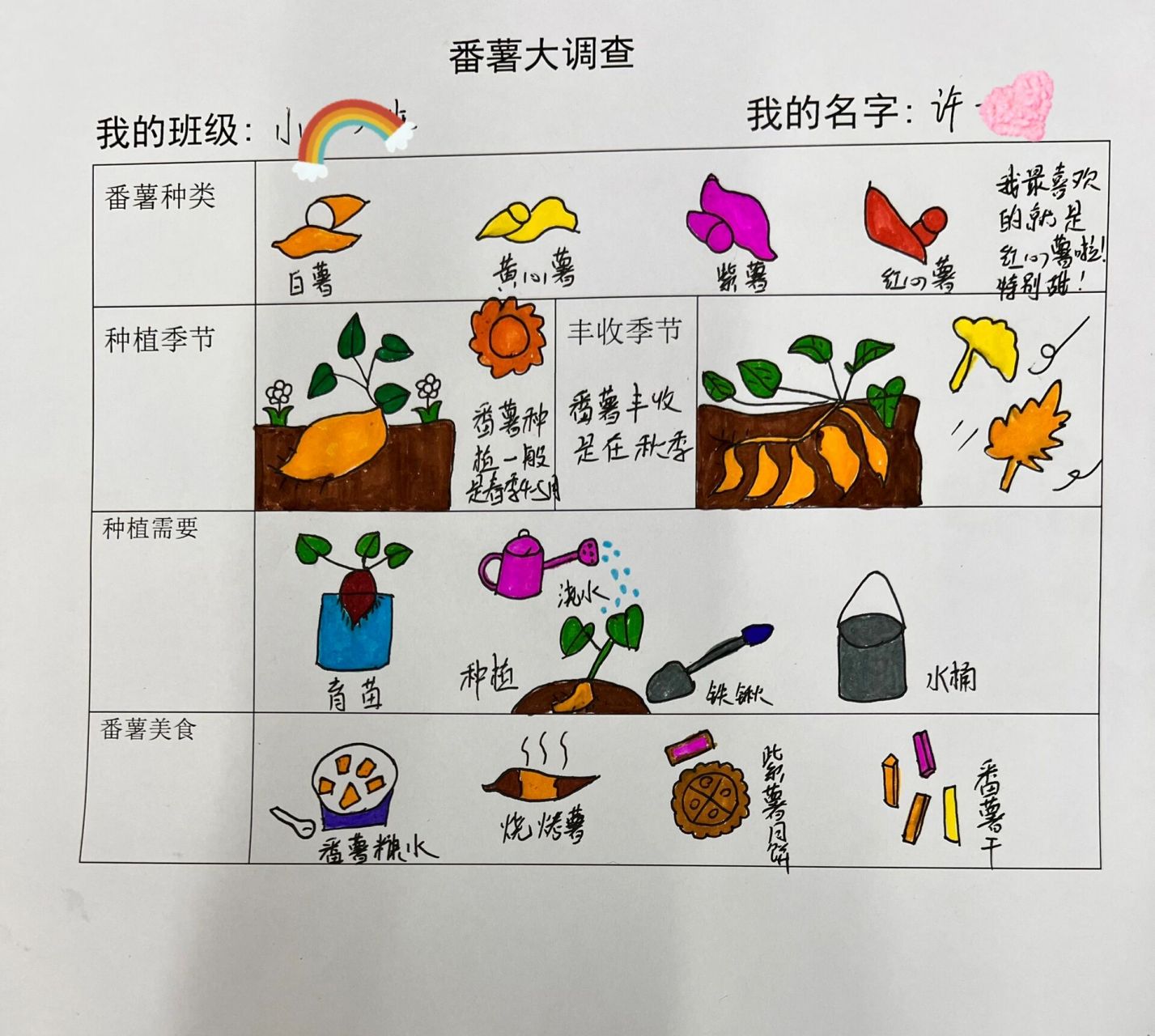 番薯种类及图片幼儿园图片