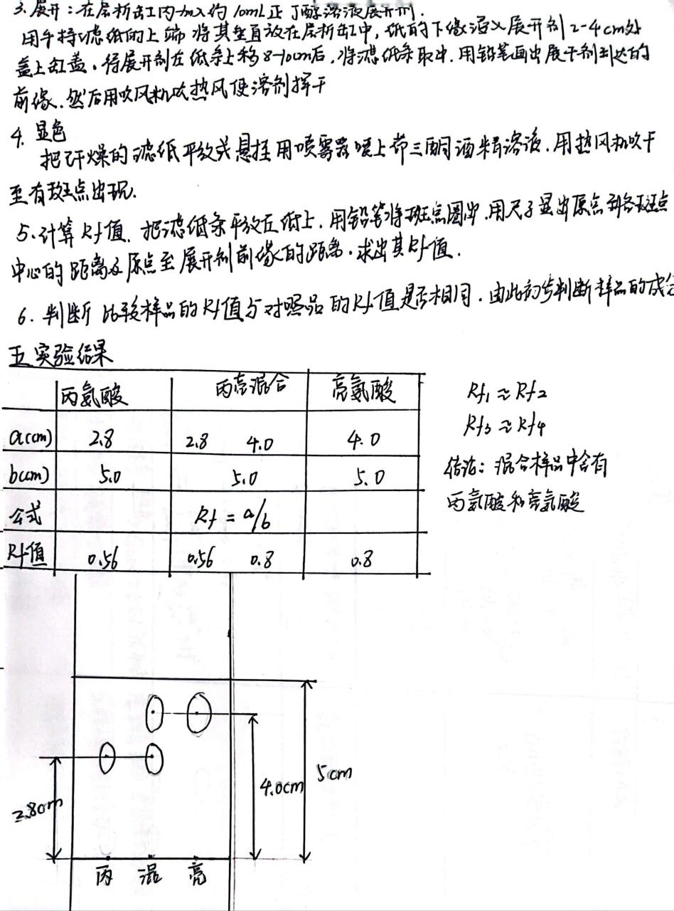 纸色谱步骤图片