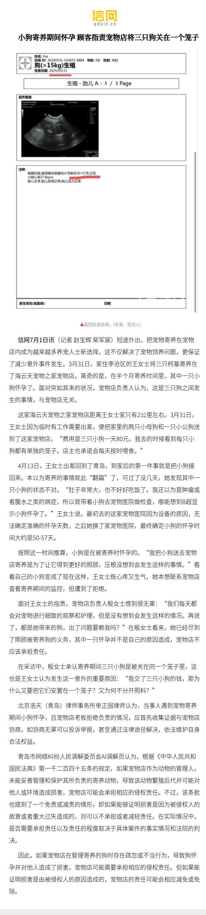 【小狗寄养期间怀孕 顾客指责宠物店将三只狗关在一个笼子】在采访中
