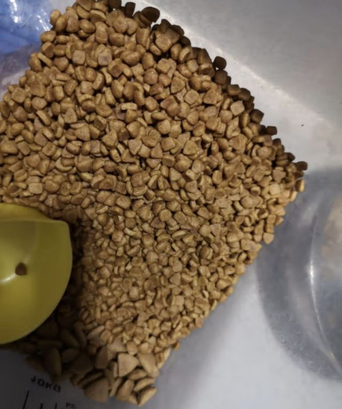 派得prominent派得狗粮金毛拉布拉多阿拉斯加40马犬萨摩耶德牧