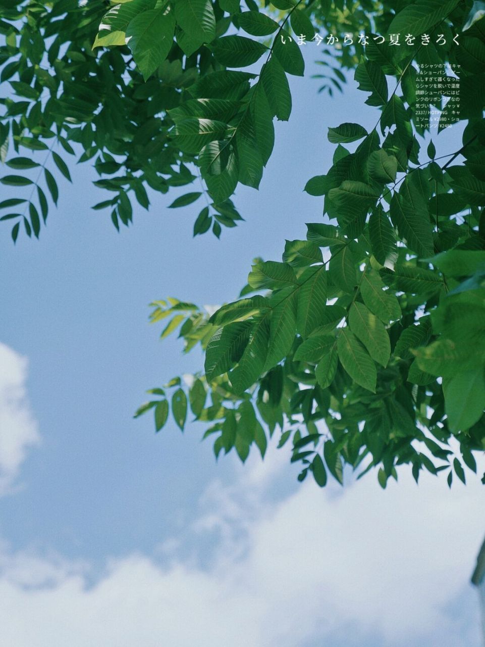 916月的zui后一天,2021已过半.