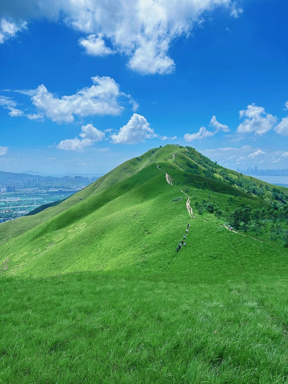 香港鸡公岭攻略|小武功山 香港行山|鸡公岭 交通路线: 76福田口岸