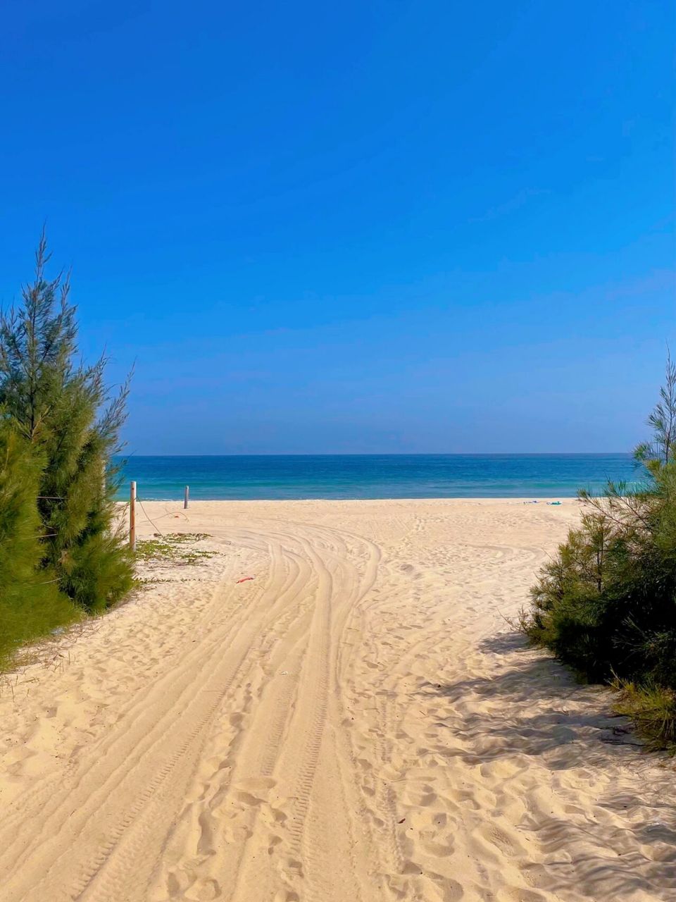 大海98一半是人山人海90 在一眼望不到头的大海边上 享受着阳光