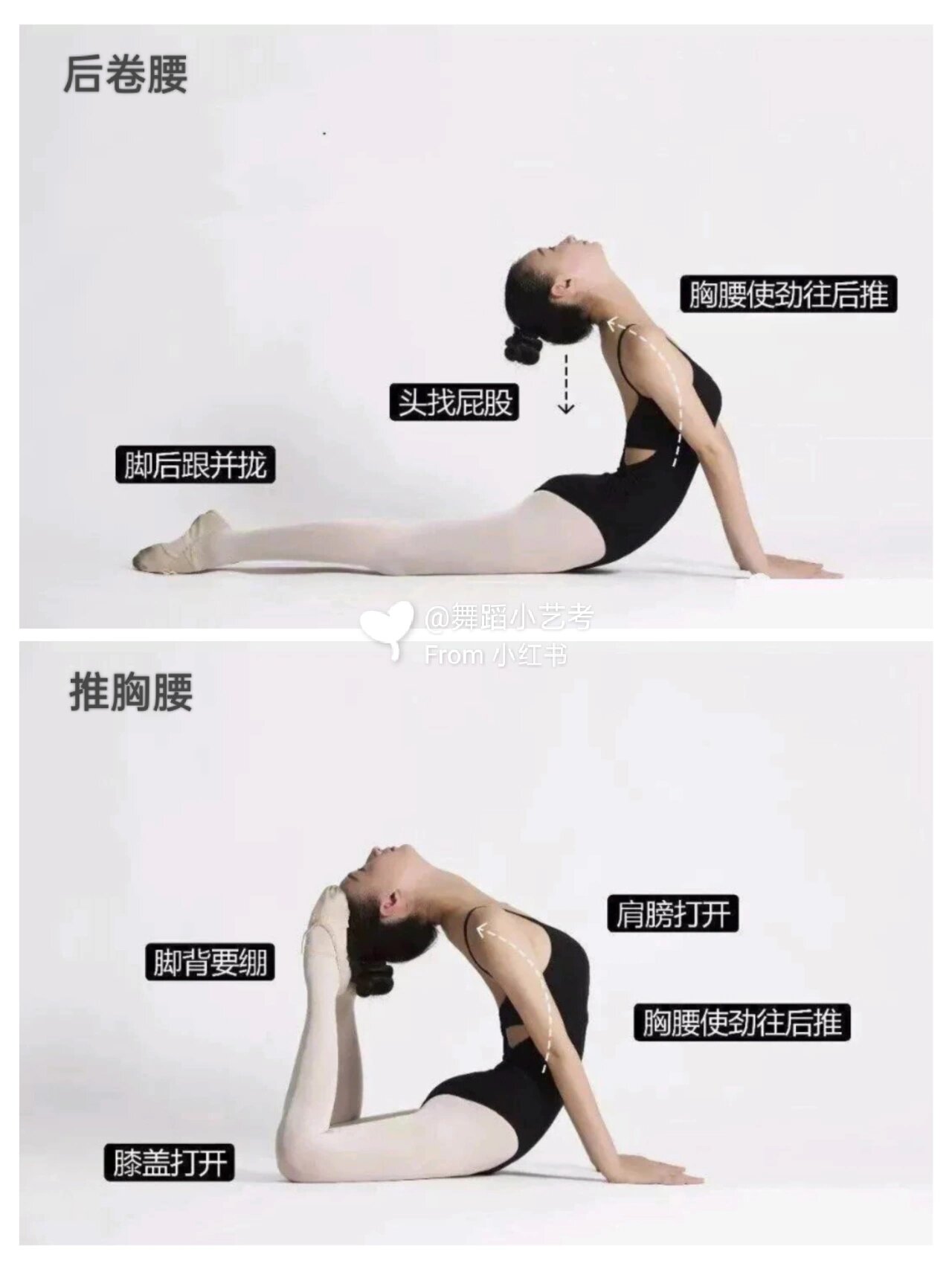 舞蹈小艺考|少儿舞蹈基本功图解第26615弹