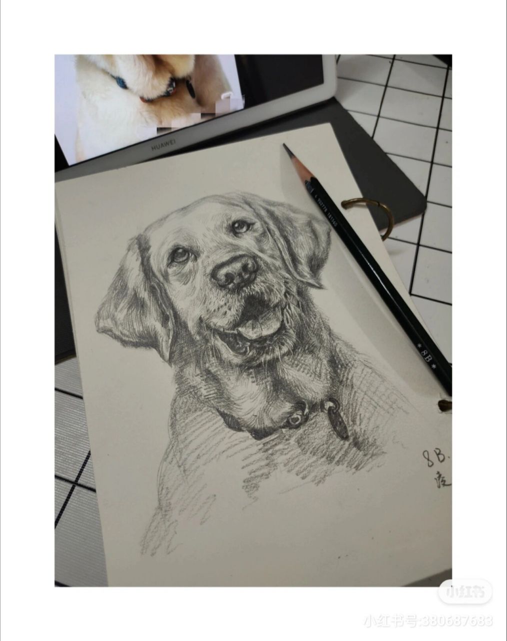 写生拉布拉多犬 小素描 绘画工具: 1,普通a5素描本 2,8b三菱铅笔