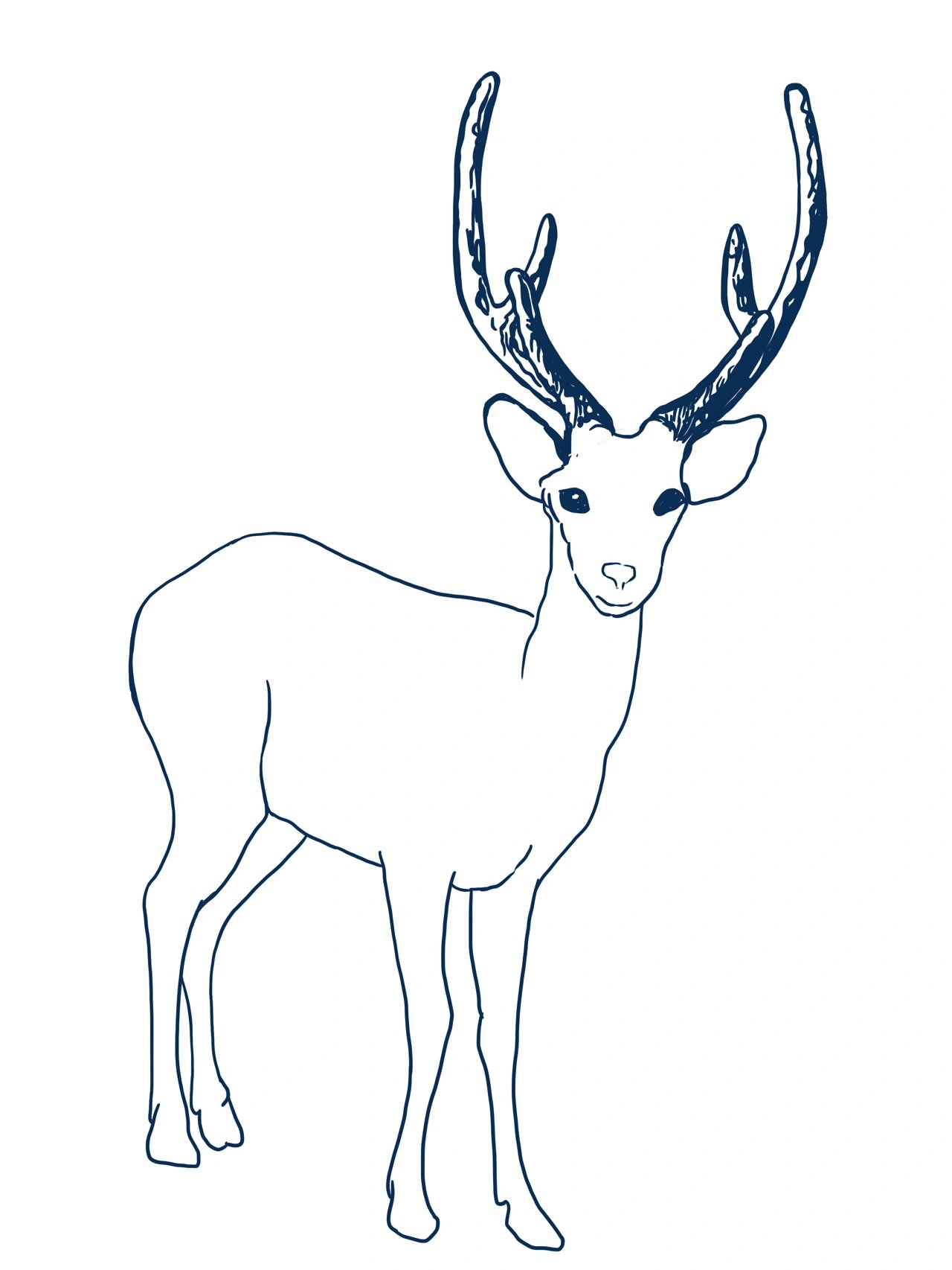 新手必看/复古风格鹿的画法