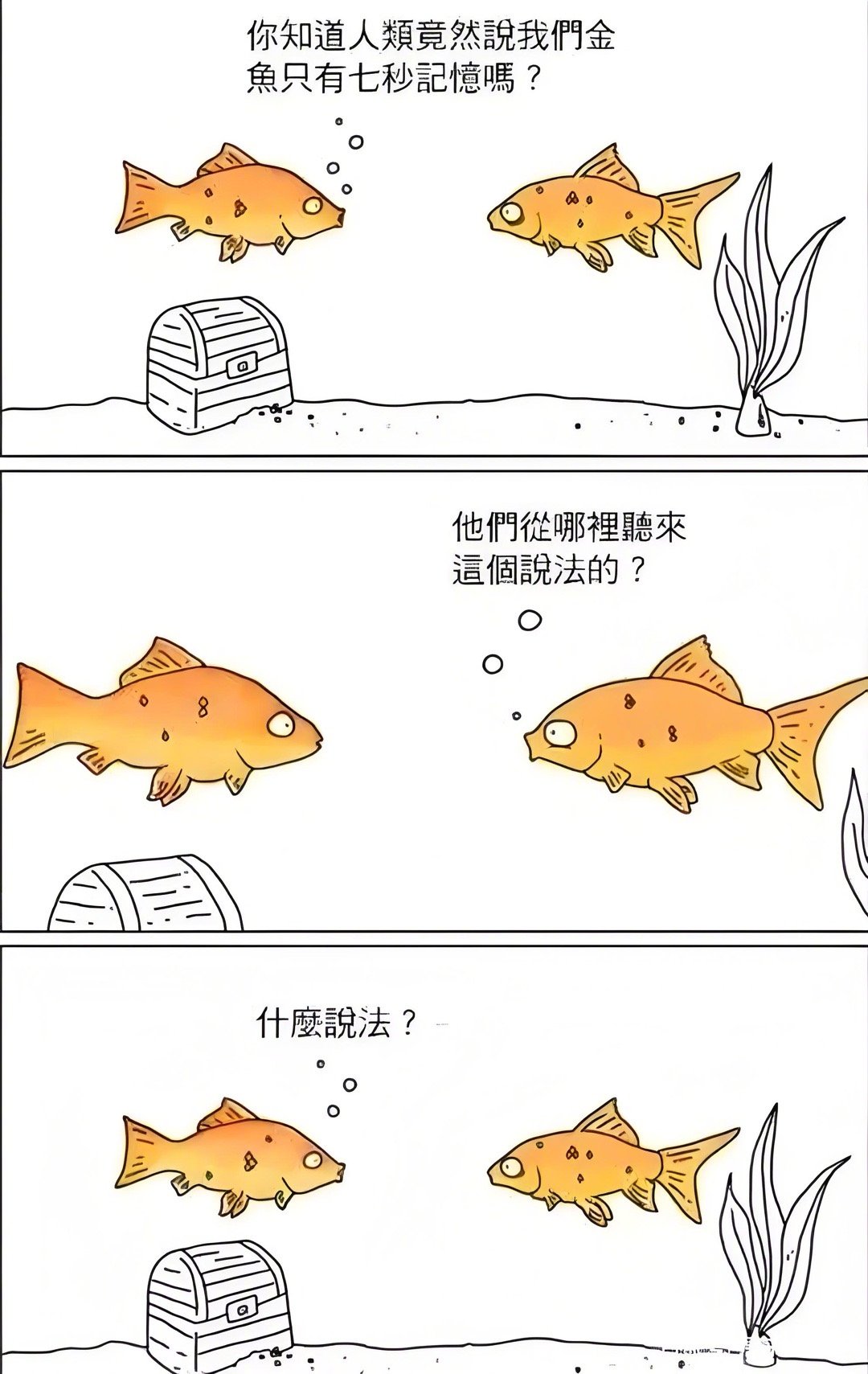 据说鱼的记忆只有七秒进了赌场或股市人就会变回一条忘我的鱼