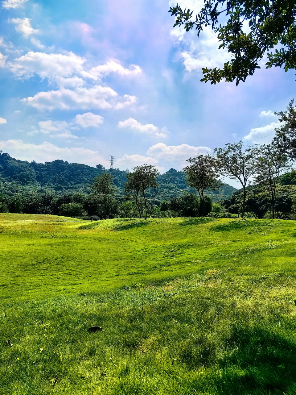 从化风云岭森林公园 大草坪,小河流,适合娃疯跑玩游戏.