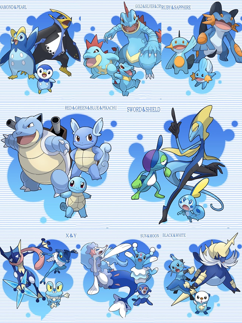 宝可梦|水系御三家全员集合98