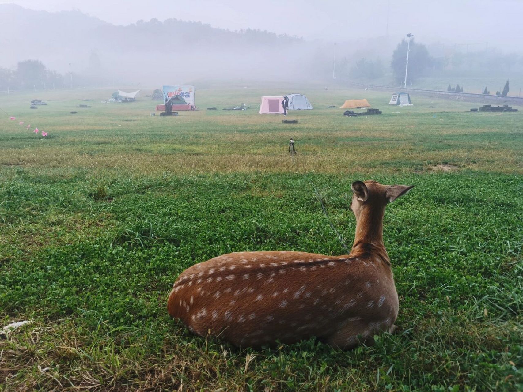 第四露:徂徕山滑雪场(下篇) 上篇文字也多,图片也多…下篇多少有些