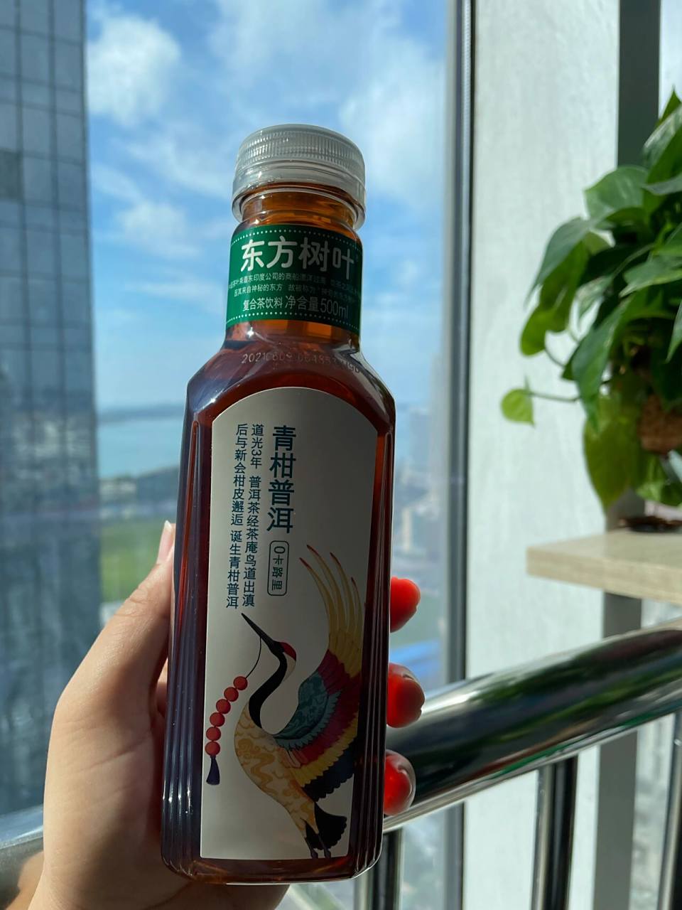 东方树叶 青柑普洱 真的刮油嘛! 最近风有点大!