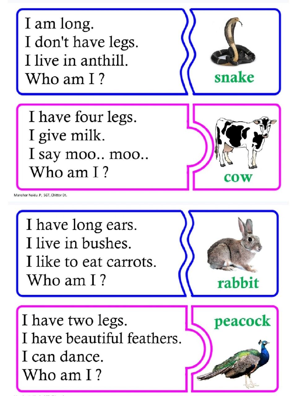 英语猜谜语游戏卡,9个主题100 个谜语 英语猜谜,学中玩,还可以培养