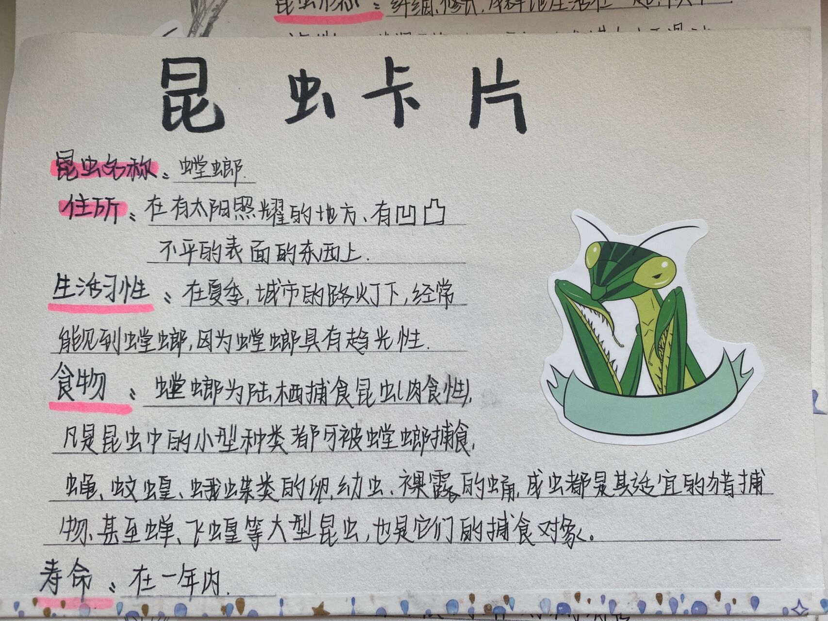 《昆虫记》之昆虫卡片(假期作业)