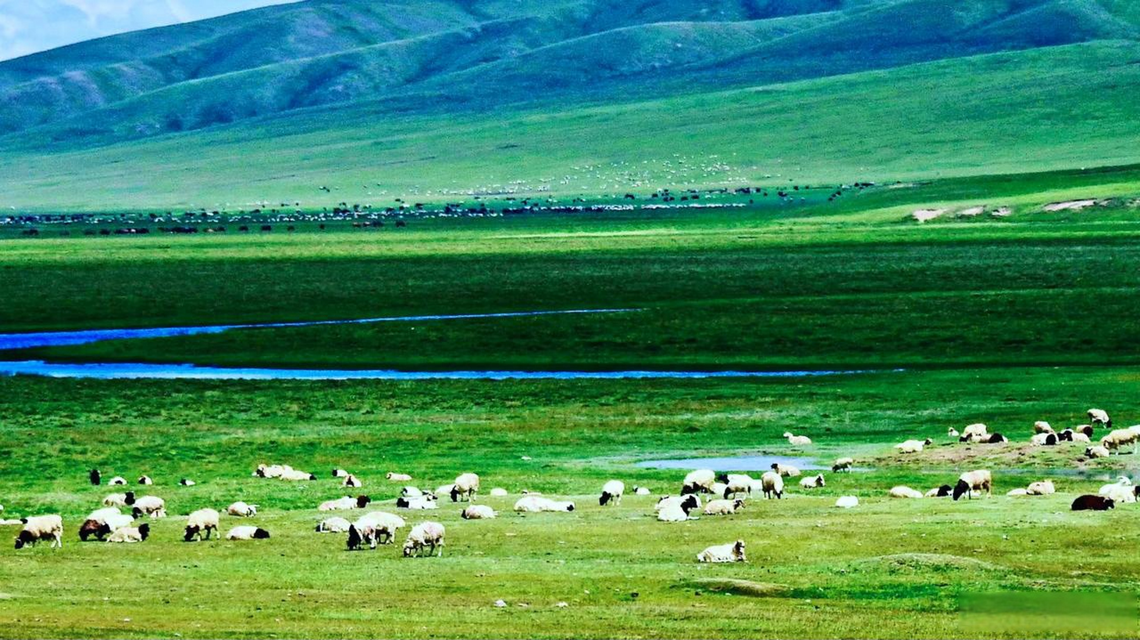 自驾去内蒙锡林郭勒草原,乌日图塔拉的露营地可以是一个不错的选择.