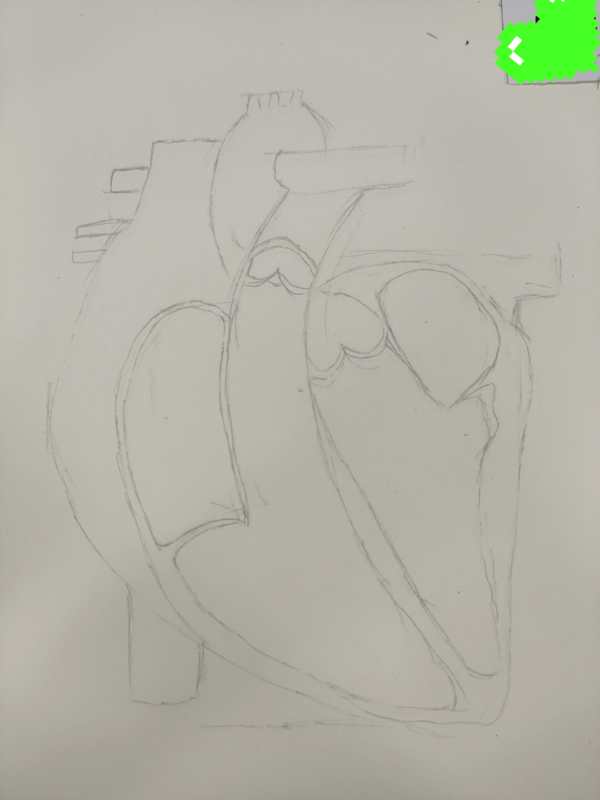 简易心脏结构解剖图手绘 参加了学校的解剖绘画比赛,大佬太多了,我去