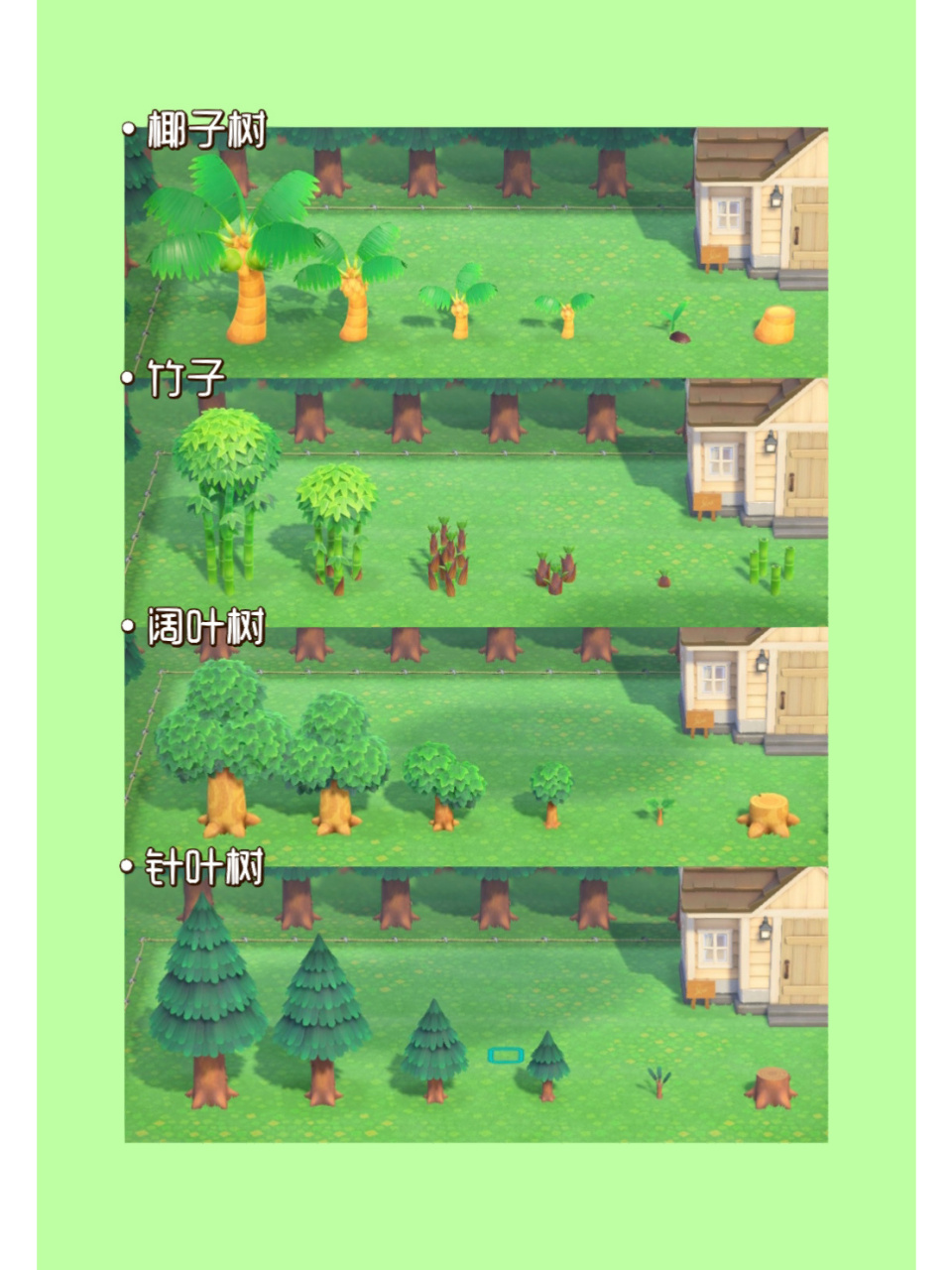 动森|树木的生长状态98灌木的四季变化17 阔叶树,针叶树,椰子树