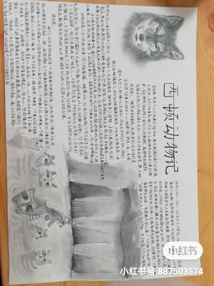 西顿动物记手抄报