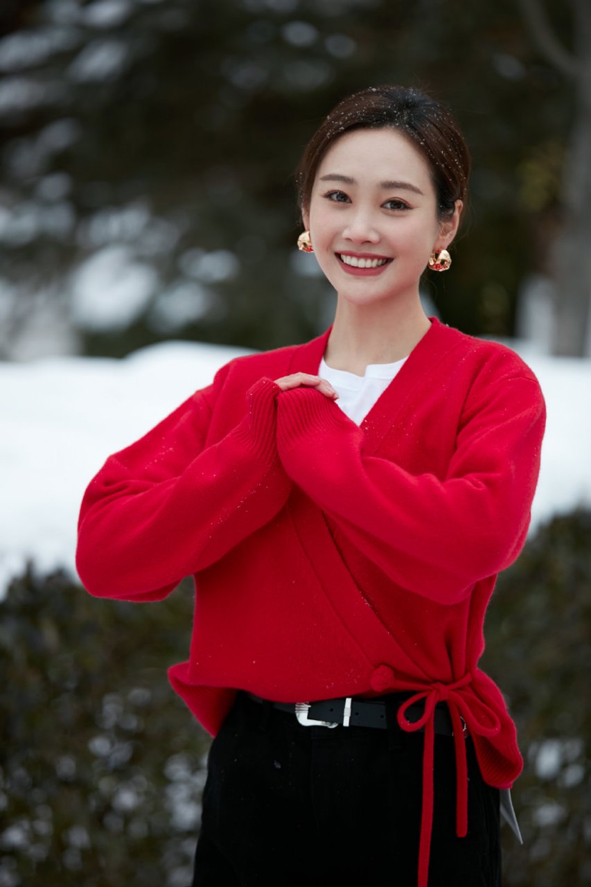 欢愉在新春,举杯迎新年万事皆胜意,年岁齐并进李纯lichun 祝大家新春