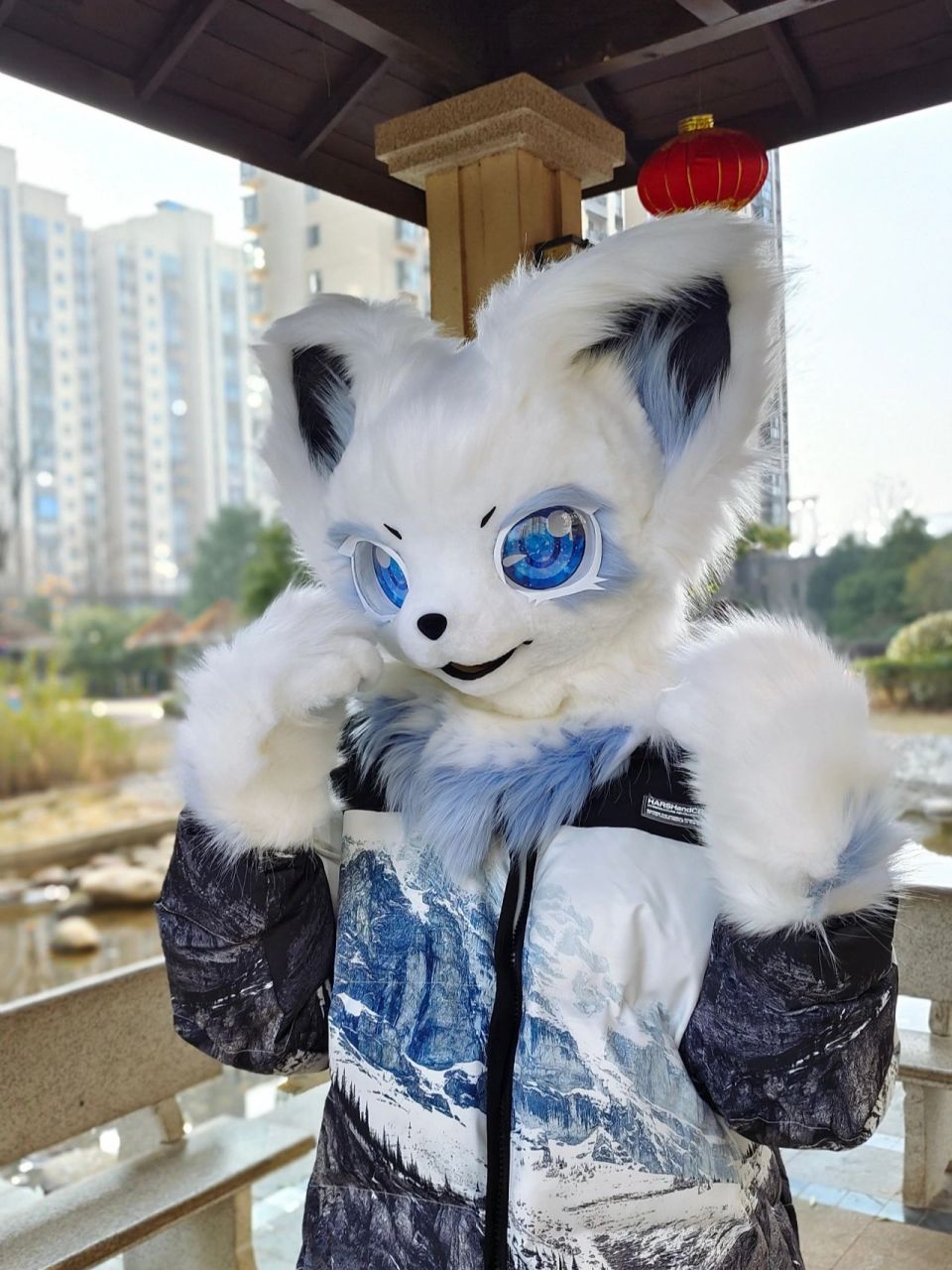 可爱的福瑞控壁纸!一只来自雪山的小狐狸! 嘿嘿!