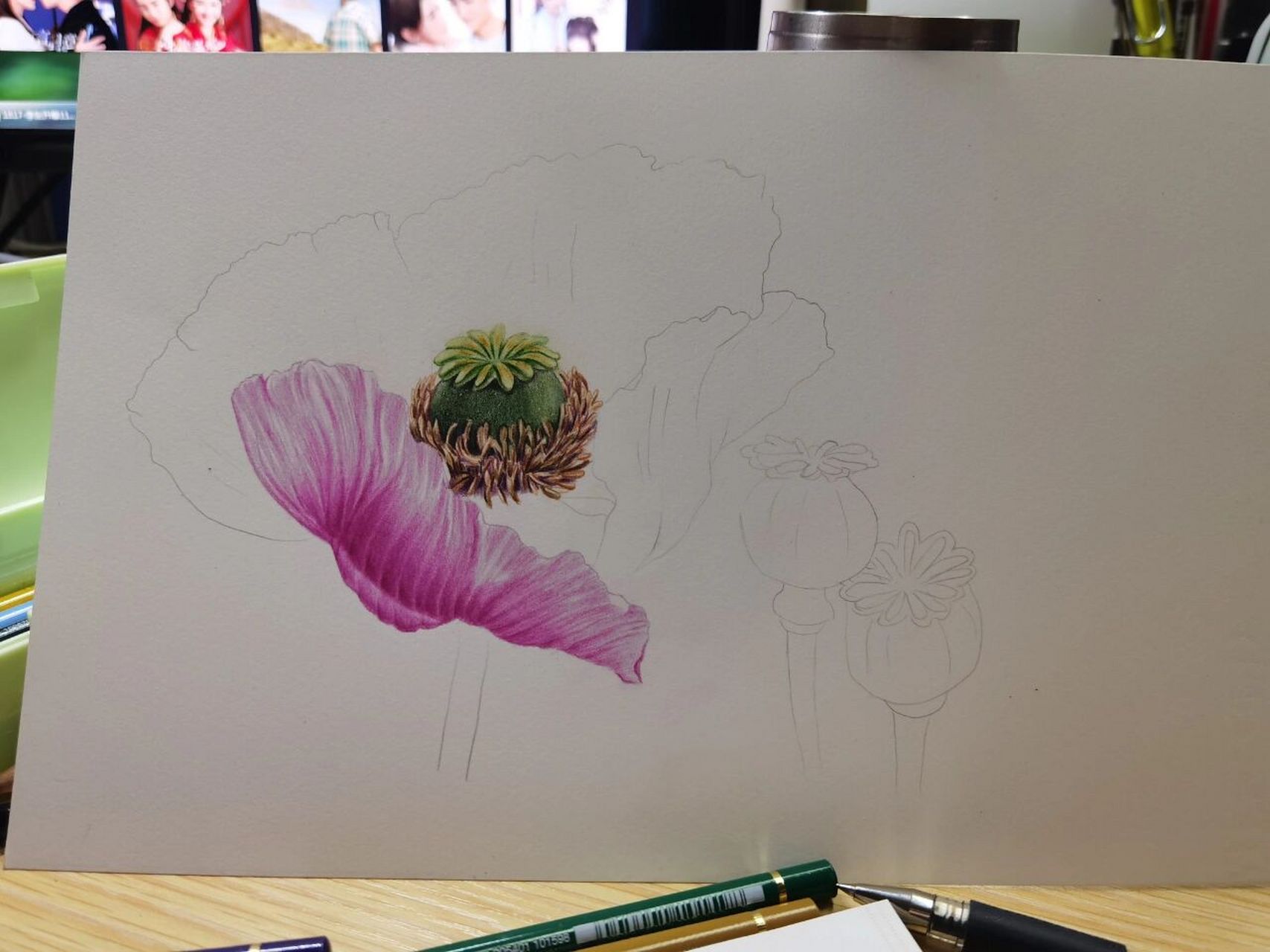 彩铅临摹#彩铅花卉#罂粟花 绿辉 获多福细纹190g