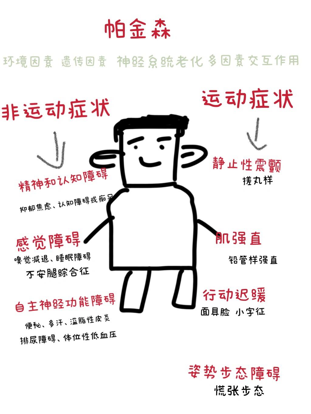 医学生笔记 | 帕金森综合征